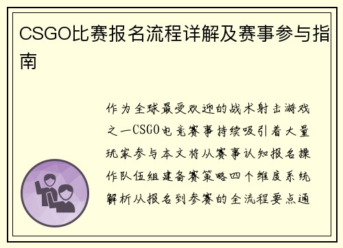 CSGO比赛报名流程详解及赛事参与指南